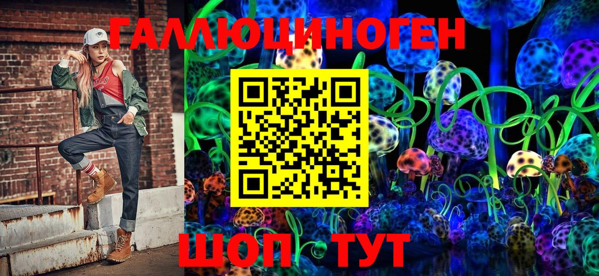 Псилоцибиновые грибы Psilocybe Кольчугино