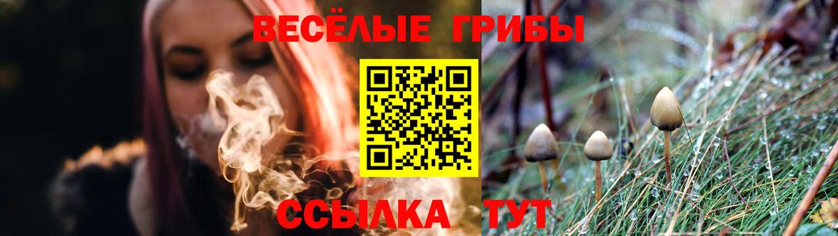 Галлюциногенные грибы мухоморы  закладка  Кольчугино  Вход с VPN 